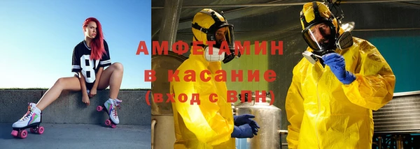 гидра Богородск