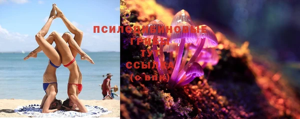 мяу мяу кристалл Богданович