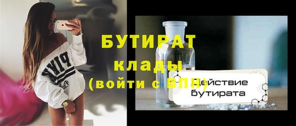 гидра Богородск