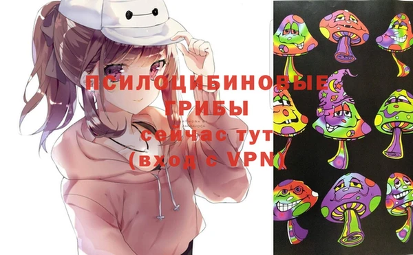 ALPHA PVP Богородицк