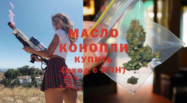 гидра Богородск