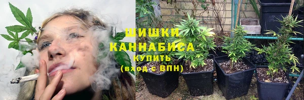 ALPHA PVP Богородицк