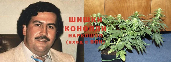 гидра Богородск