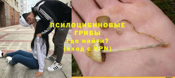 мяу мяу кристалл Богданович