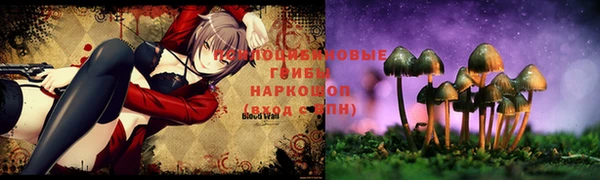 мяу мяу кристалл Богданович