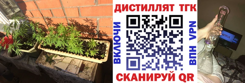 ТГК Wax  Плёс 