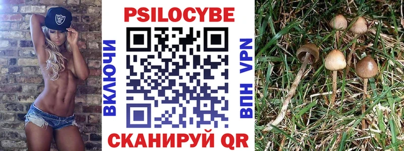 это какой сайт  hydra онион  Плёс  Галлюциногенные грибы Psilocybe 