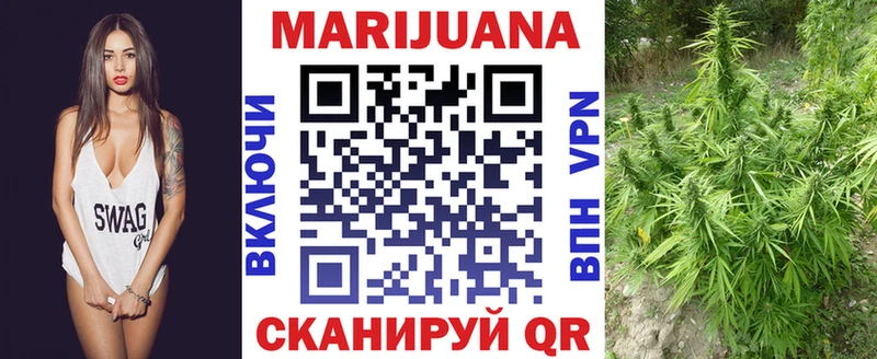 Конопля Bruce Banner Плёс